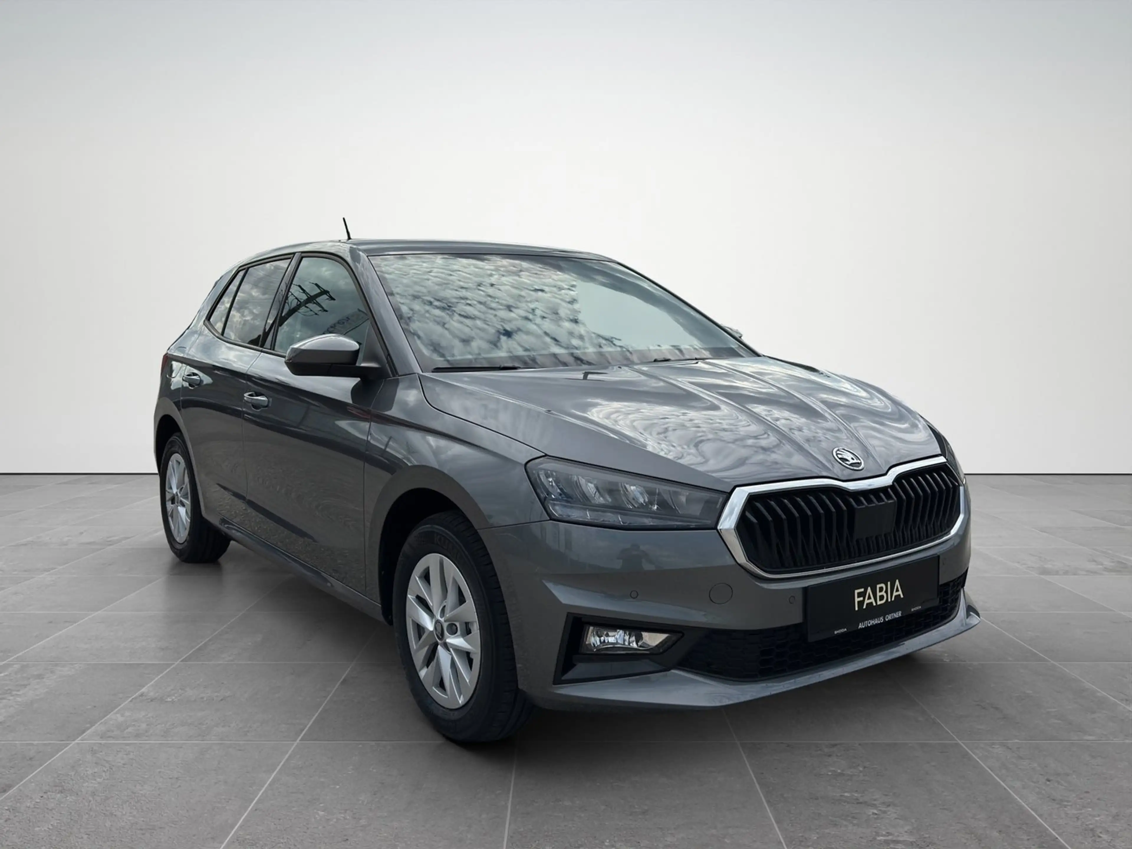Skoda Fabia Selection TSI — photo 8