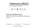 Volkswagen Tiguan Allspace 1.5 TSI DSG Life 7-Sitzer Klima Navi Einparkhilfe Weiß - thumbnail 1