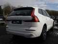 Volvo XC60 T6 Inscription Expression Recharge AWD Weiß - thumbnail 2