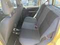 Fiat Panda 1.2 Amarillo - thumbnail 21