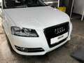 Audi A3 SB Select 1,6 TDI DPF *GARANTIE* Blanc - thumbnail 8