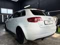 Audi A3 SB Select 1,6 TDI DPF *GARANTIE* Blanc - thumbnail 5