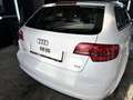 Audi A3 SB Select 1,6 TDI DPF *GARANTIE* Weiß - thumbnail 7