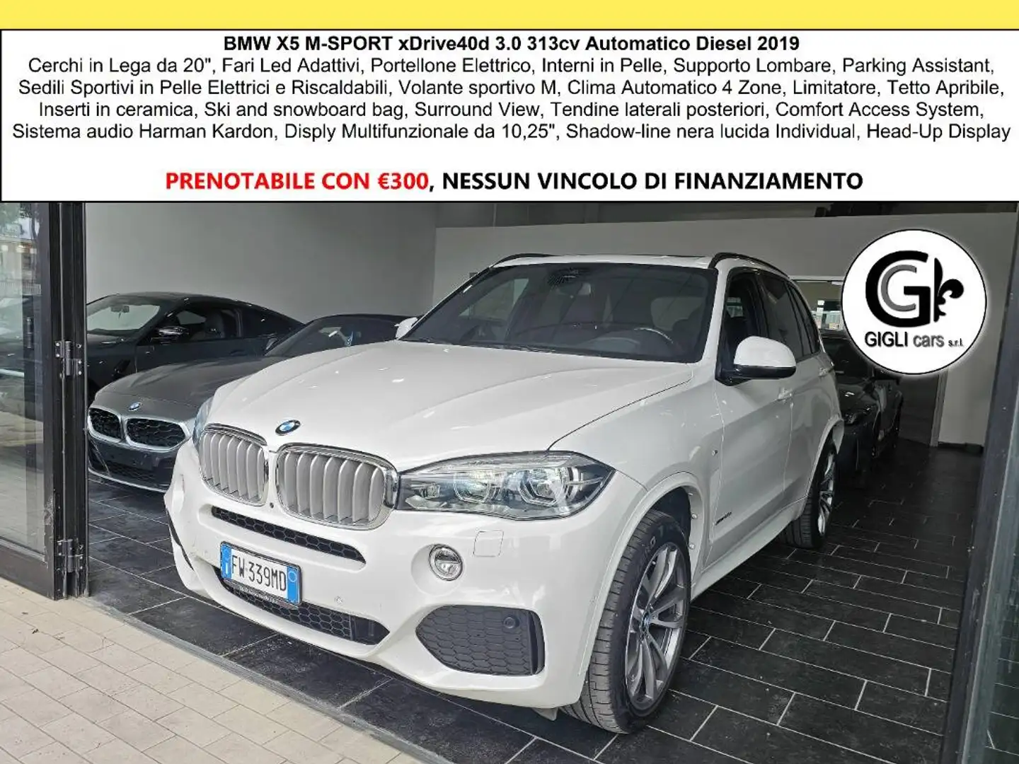 BMW X5 XDrive 40d M-Sport Msport Tetto Led Cam 360° Head Weiß - 1