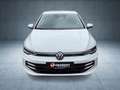 Volkswagen Golf Life 1.5 TSI **SHZ**SOFORT VERFÜGBAR** Weiß - thumbnail 7
