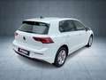Volkswagen Golf Life 1.5 TSI **SHZ**SOFORT VERFÜGBAR** Weiß - thumbnail 13