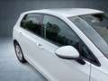 Volkswagen Golf Life 1.5 TSI **SHZ**SOFORT VERFÜGBAR** Weiß - thumbnail 6