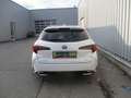 Toyota Corolla 1.8 Hybrid Touring Sports Active Drive Weiß - thumbnail 6