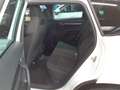 Skoda Karoq Sportline TSI DSG 4x4 *PANO*ACC*MATRIX*NAV Weiß - thumbnail 4
