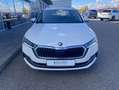 Skoda Octavia Combi 2.0 TDI DSG 4x4 Style 17"+NAVI-COL Weiß - thumbnail 7