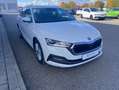 Skoda Octavia Combi 2.0 TDI DSG 4x4 Style 17"+NAVI-COL Weiß - thumbnail 6