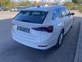 Skoda Octavia Combi 2.0 TDI DSG 4x4 Style 17"+NAVI-COL Weiß - thumbnail 5
