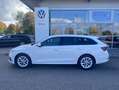 Skoda Octavia Combi 2.0 TDI DSG 4x4 Style 17"+NAVI-COL Weiß - thumbnail 2