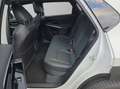 Subaru Solterra Platinum plus MJ24 3 phasig Weiß - thumbnail 9