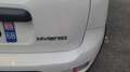 Fiat Panda 1.0 70 Hybride BSG City Life Blanc - thumbnail 29