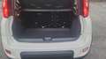 Fiat Panda 1.0 70 Hybride BSG City Life Blanc - thumbnail 13