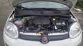 Fiat Panda 1.0 70 Hybride BSG City Life Blanc - thumbnail 14