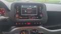 Fiat Panda 1.0 70 Hybride BSG City Life Blanc - thumbnail 22