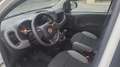 Fiat Panda 1.0 70 Hybride BSG City Life Blanc - thumbnail 8