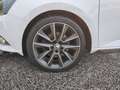 Skoda Fabia 1.4 TSI R5 Sport PDC ACC Amundsen Weiß - thumbnail 10