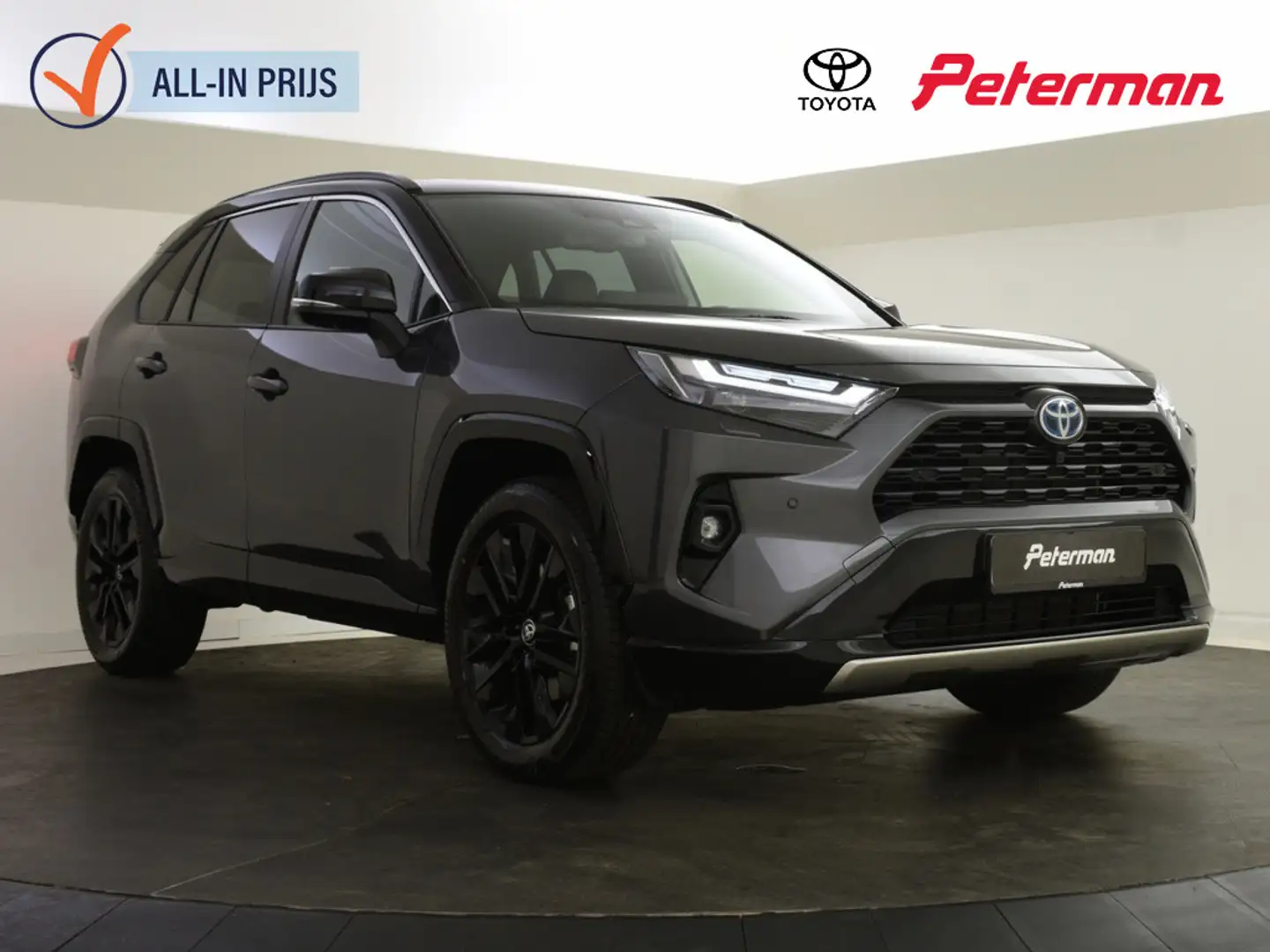 Toyota RAV 4 2.5 Hybrid AWD Style Bi-Tone | BLS | JBL | PDC V+A Grijs - 1