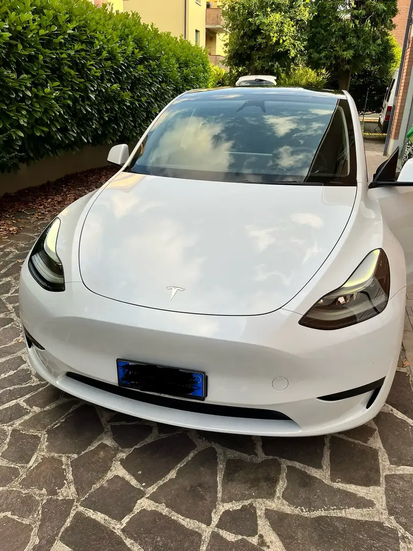Tesla Model Y Model Y 2021 Single Motor rwd Bianco - 1