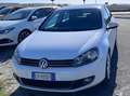 Volkswagen Golf Golf VI 2008 5p 1.6 tdi Comfortline Bianco - thumbnail 5