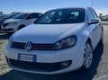 Volkswagen Golf Golf VI 2008 5p 1.6 tdi Comfortline Bianco - thumbnail 8