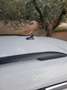 Volkswagen T-Roc 1.5 TSI 150 EVO Start/Stop DSG7 United - thumbnail 8