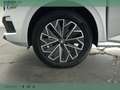 Skoda Kamiq Black Dots 1.0 TSI 95 CV Argento - thumbnail 8