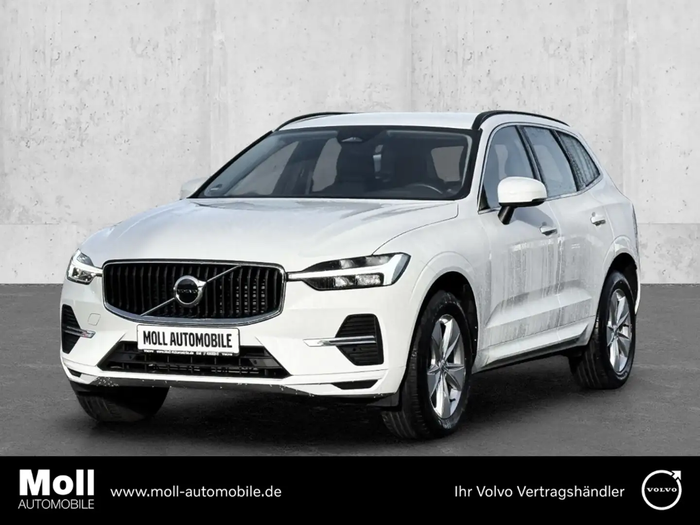 Volvo XC60 Momentum Pro 2WD AHK Digitales Cockpit Soundsystem Weiß - 1
