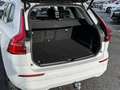 Volvo XC60 Momentum Pro 2WD AHK Digitales Cockpit Soundsystem Weiß - thumbnail 15