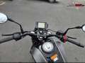 Benelli Leoncino 125 Noir - thumbnail 4