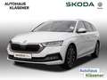 Skoda Octavia Combi 1.5TSI eTEC 110KWDSG HUD ASSIST DCC Weiß - thumbnail 2