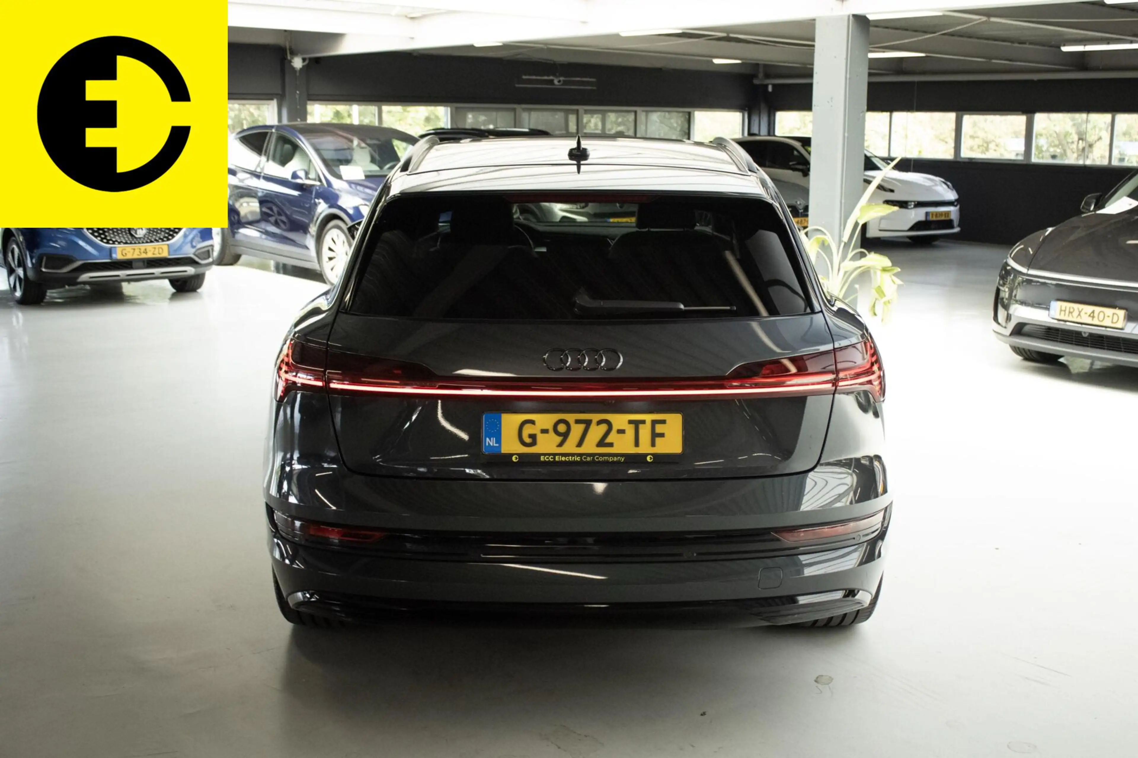 Audi e-tron e-tron 55 quattro advanced Pro Line Plus 95 kWh | — photo 13