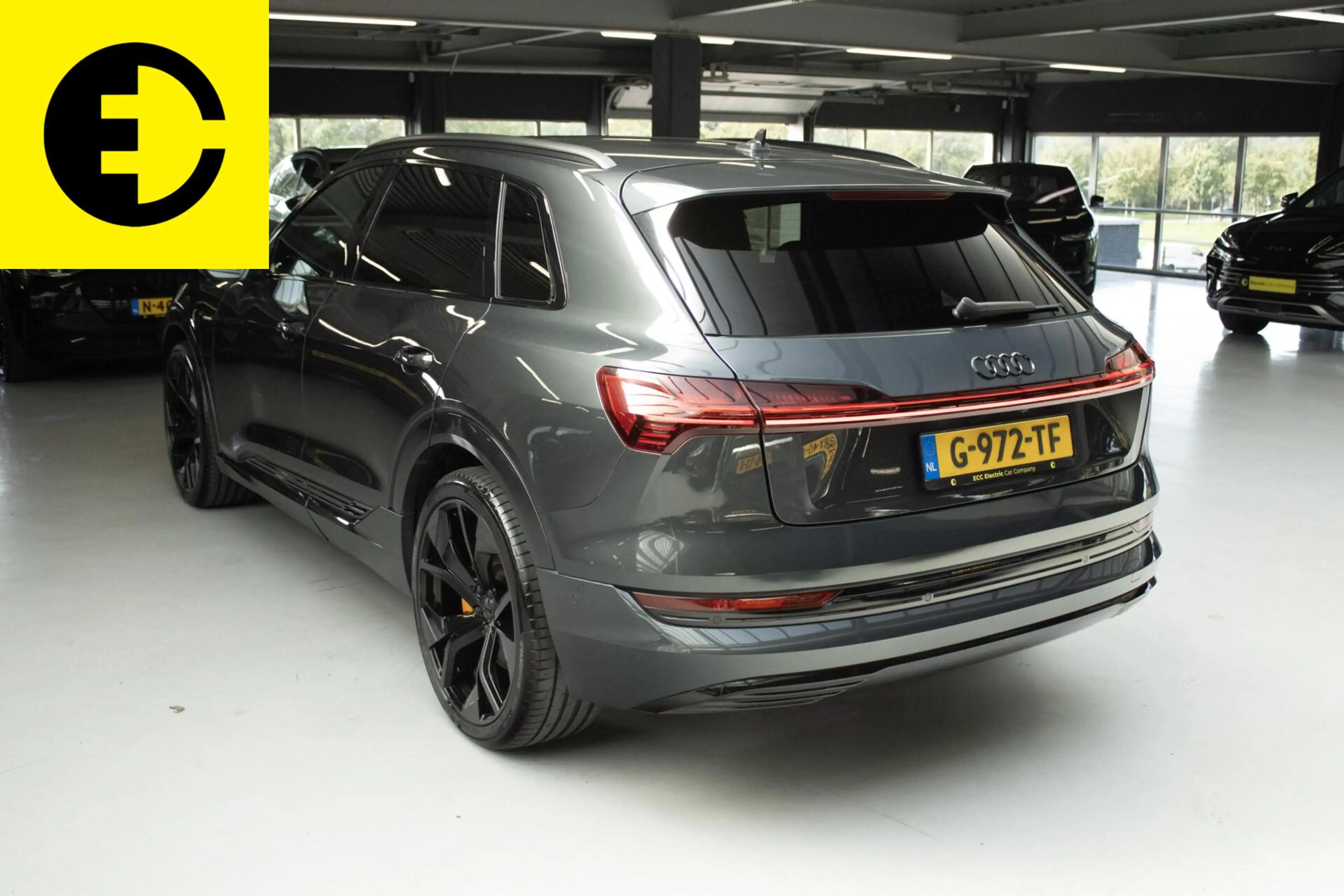 Audi e-tron e-tron 55 quattro advanced Pro Line Plus 95 kWh | — photo 15