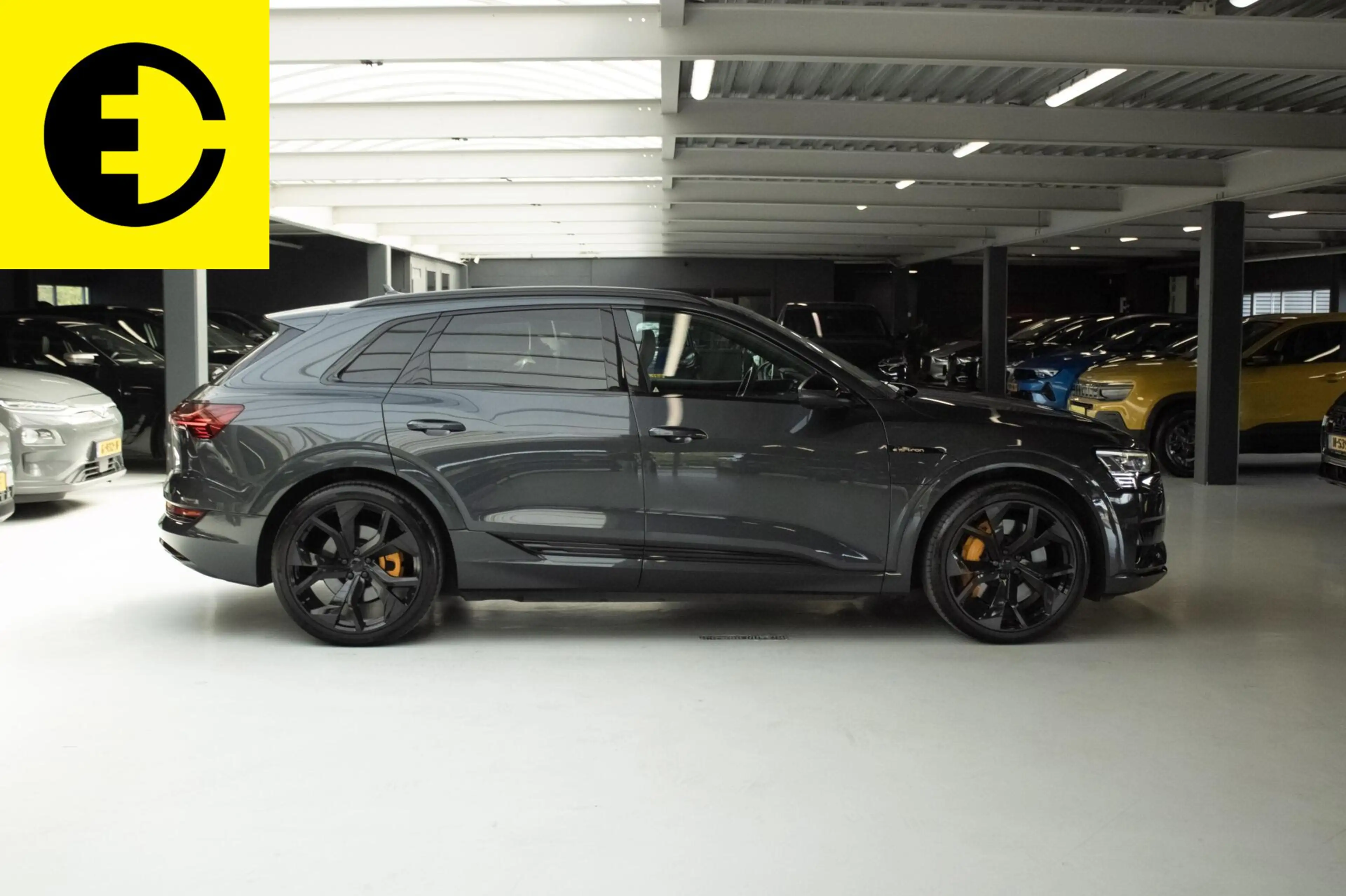 Audi e-tron e-tron 55 quattro advanced Pro Line Plus 95 kWh | — photo 10