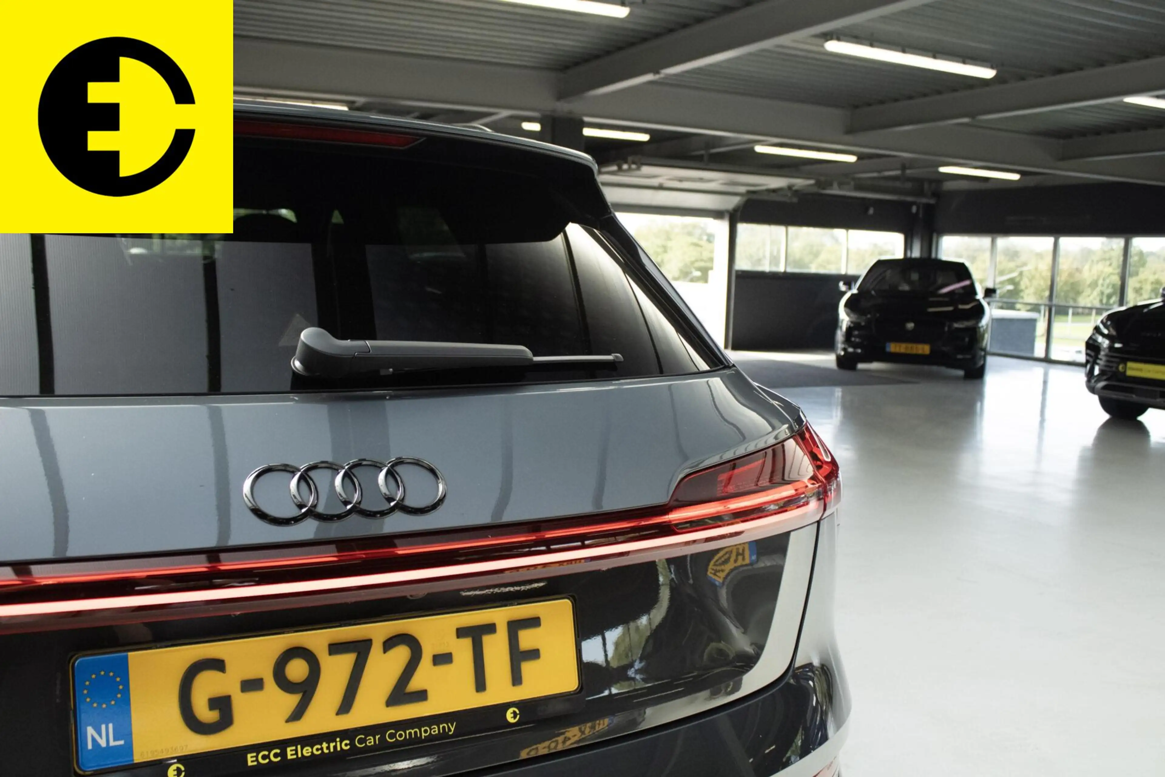 Audi e-tron e-tron 55 quattro advanced Pro Line Plus 95 kWh | — photo 14