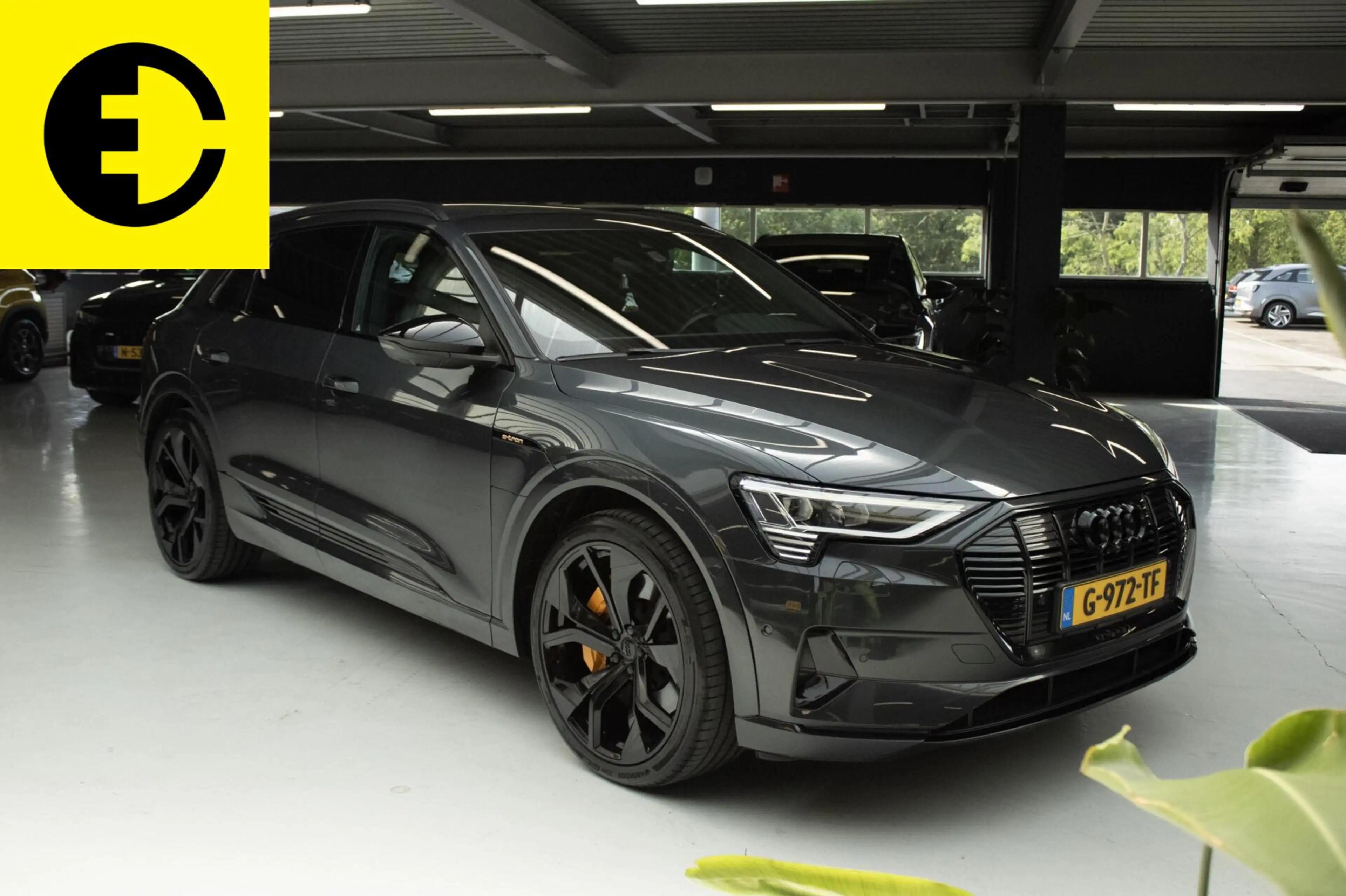 Audi e-tron e-tron 55 quattro advanced Pro Line Plus 95 kWh | — photo 9