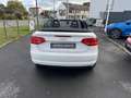 Audi Cabriolet A3 Cabriolet 1.6 102 Ambition Weiß - thumbnail 5