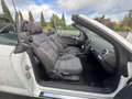 Audi Cabriolet A3 Cabriolet 1.6 102 Ambition Weiß - thumbnail 7