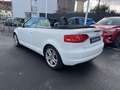 Audi Cabriolet A3 Cabriolet 1.6 102 Ambition Weiß - thumbnail 6