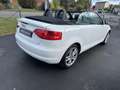 Audi Cabriolet A3 Cabriolet 1.6 102 Ambition Weiß - thumbnail 4