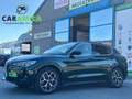 Alfa Romeo Stelvio Stelvio 2.2 Turbodiesel 210 CV AT8 Q4 Ti Vert - thumbnail 1