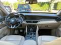 Alfa Romeo Stelvio Stelvio 2.2 Turbodiesel 210 CV AT8 Q4 Ti Vert - thumbnail 16