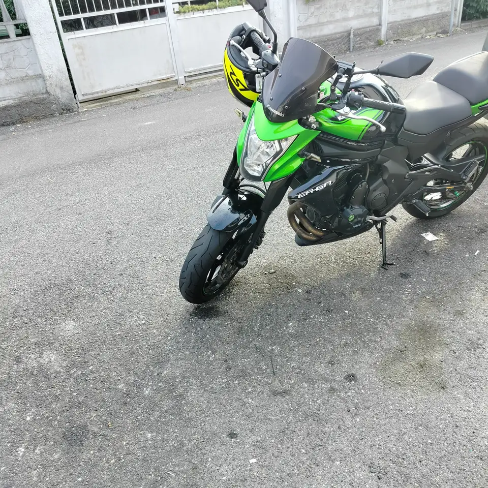 Kawasaki ER