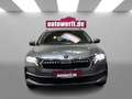 Skoda Octavia 2.0 TDI DSG SELECTION AHK CAM 17Z FAMILY ASSISTED Grau - thumbnail 2