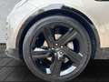 Land Rover Discovery Discovery D300 R-Dyn. HSE 22"7.Sitze AHK Standh. Gold - thumbnail 9