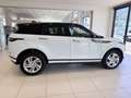 Land Rover Range Rover Evoque Range Rover Evoque 2.0D I4-L.Flw 150 CV AWD Auto Bianco - thumbnail 5
