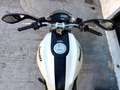 Ducati Monster 696 Plus 2010 - FINANZIAMENTI Blanc - thumbnail 10